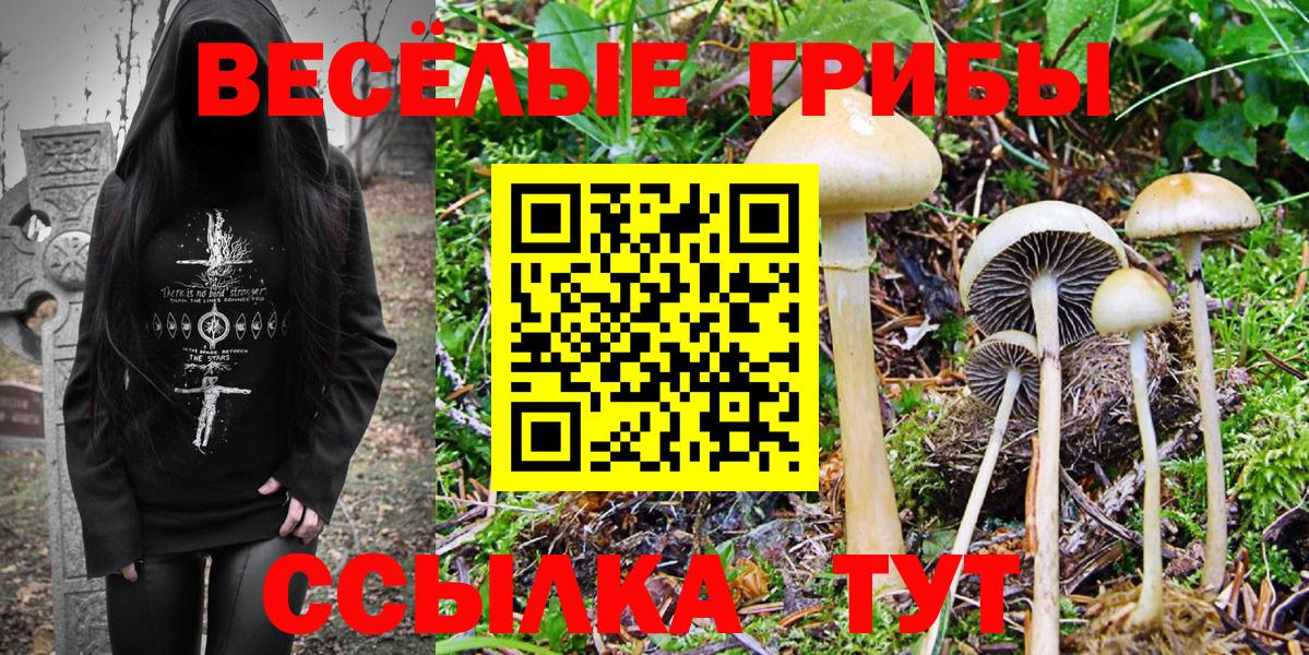 даркнет сайт  Вход с VPN  Чайковский  Галлюциногенные грибы MAGIC MUSHROOMS 